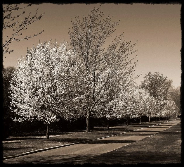 Spring