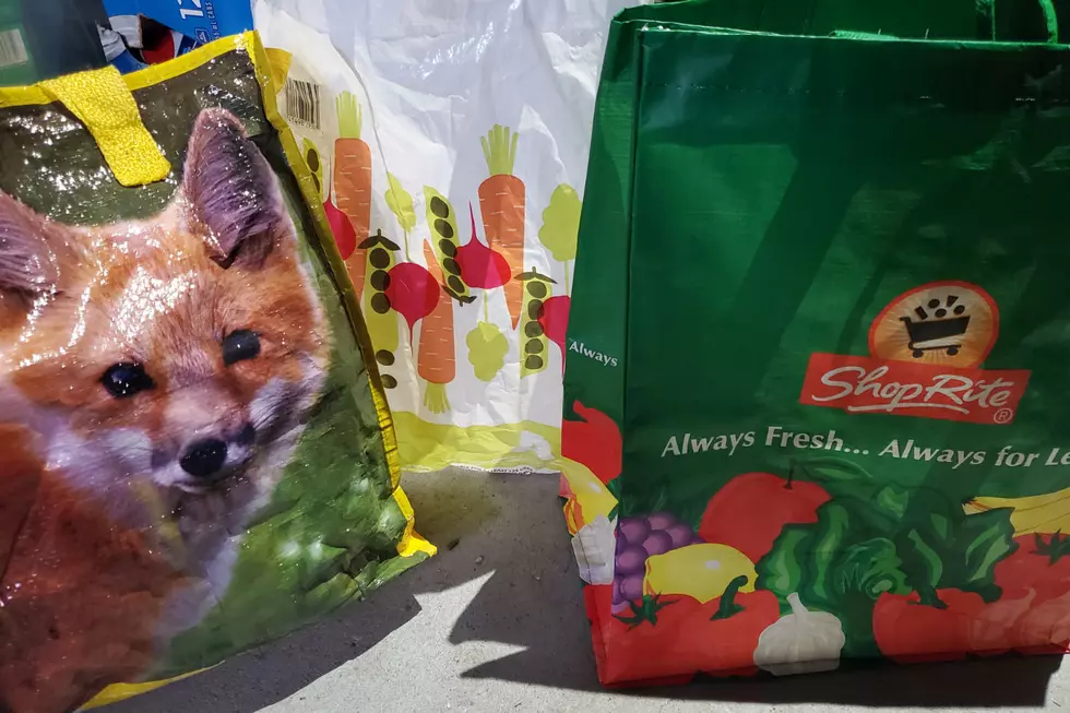 Banning plastic bags taking backseat to COVID-19 in NJ
