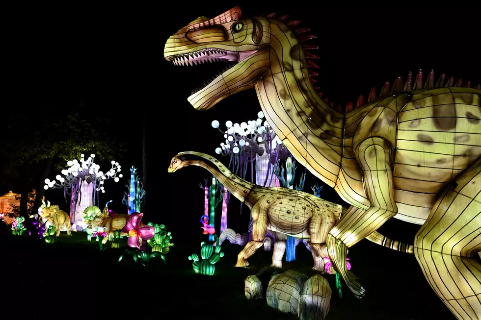 Dinosaur Safari pop-up coming to North Jersey this summer