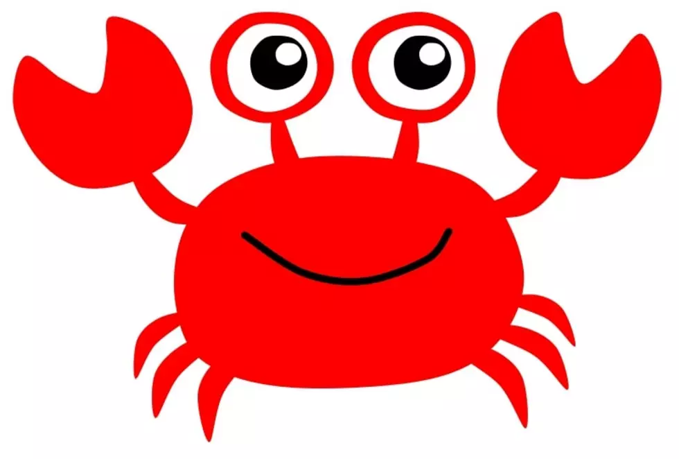 Honoring Denise Whalen With The 17th Annual Crab Race In Seaside Heights, New Jersey