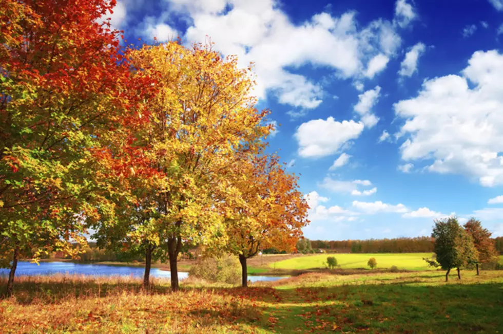 What Is The Surest Sign Of Fall To You?