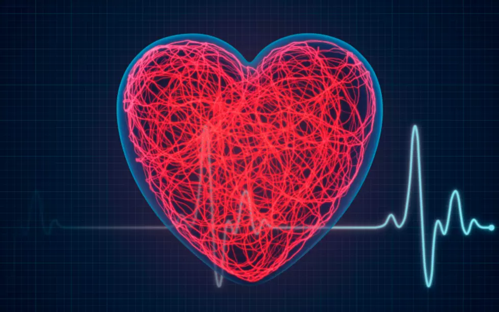 Shoreline Heart Walk Comes To Ocean County on Saturday