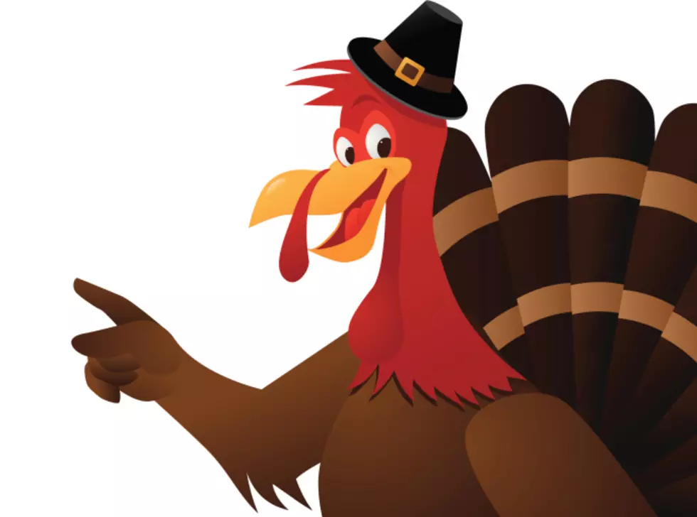 Popular Berkeley Township Turkey “Bimini Bob” Found His Forever Home
