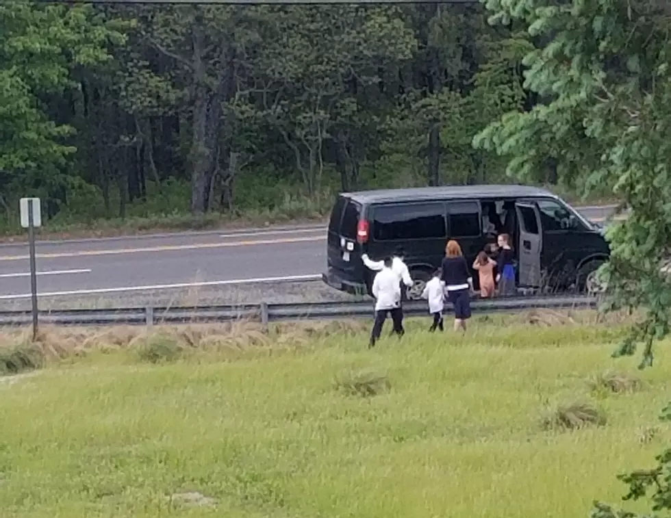 These brutal animal cruelty cases in New Jersey will leave you bereft