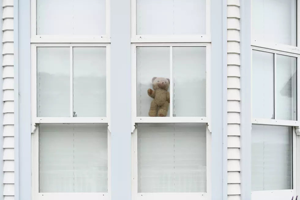 Teddy Bear Hunt Is Keeping Kids Safely Occupied During COVID-19