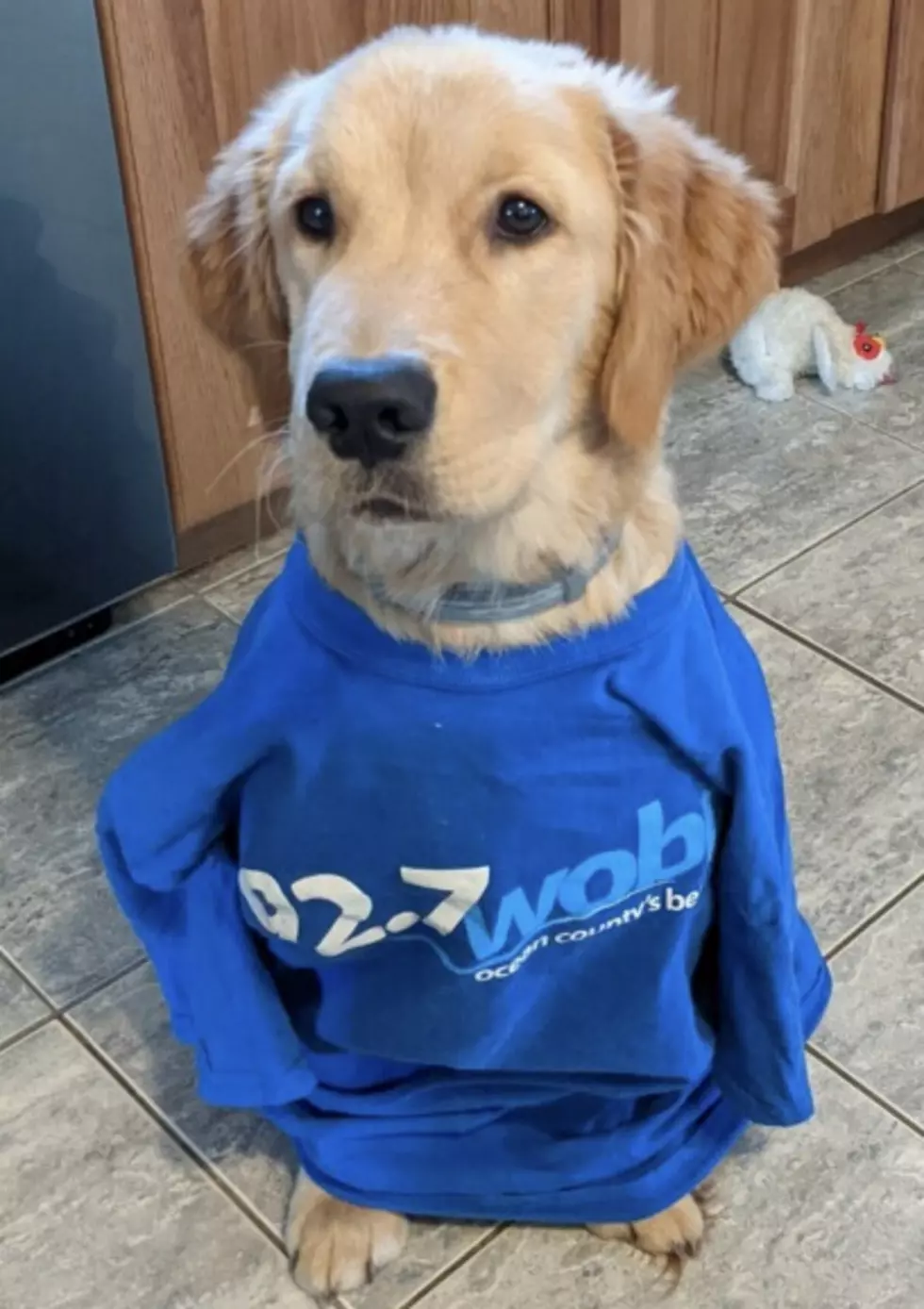 Ocean County Show Us Your “Puppy Love” Pictures