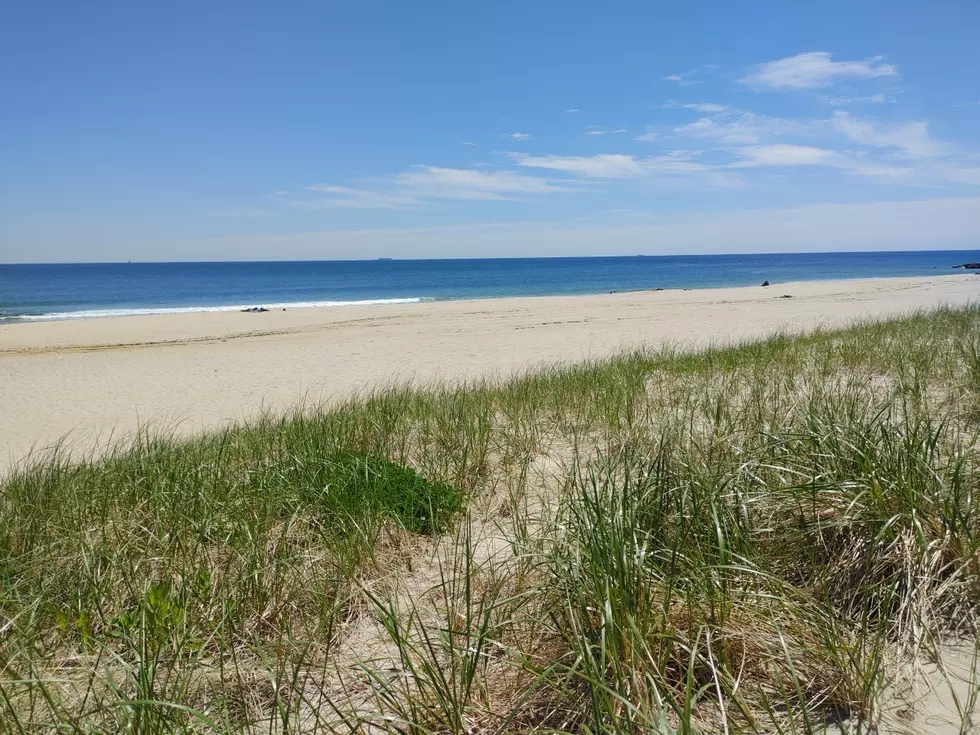 After overcoming challenges in 2021, how Monmouth County, NJ can thrive in 2022
