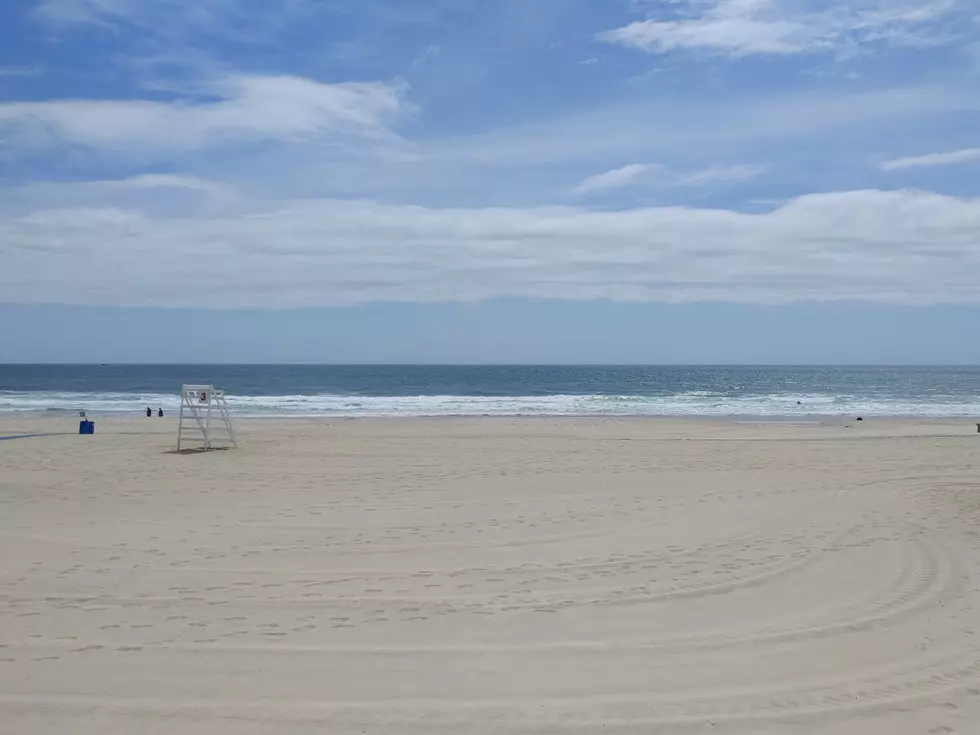Primed for success: here is the secret to a successful summer in Monmouth County, NJ