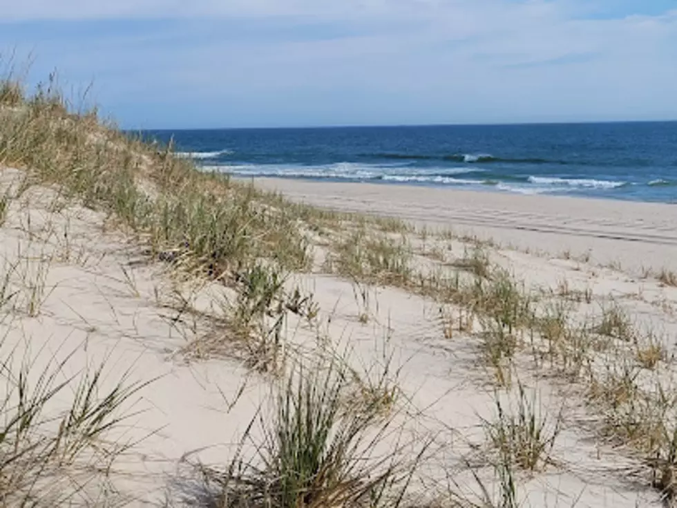 The Most Beautiful Spot in New Jersey is One of the Most Stunning Places in America
