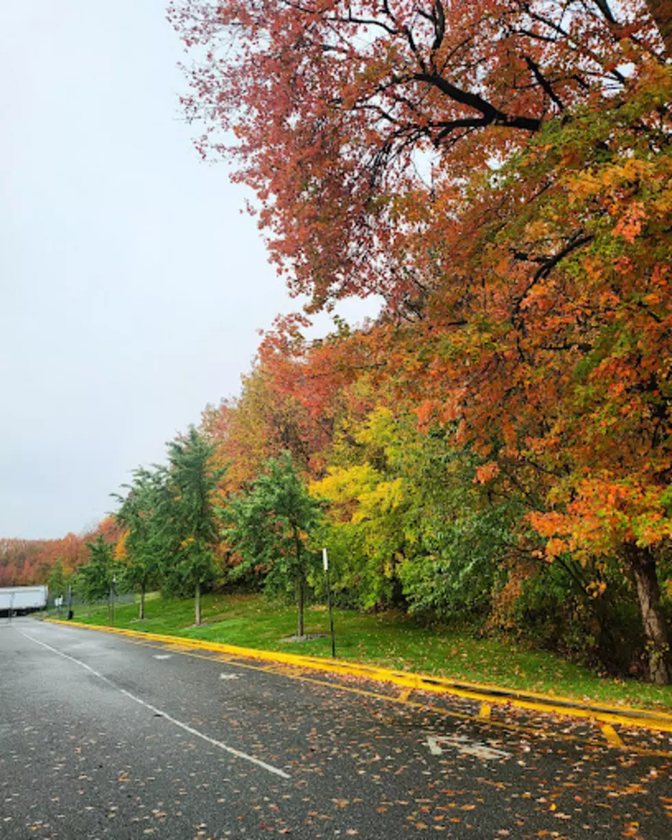 Yay! More Amazing Small Towns in New Jersey to Explore