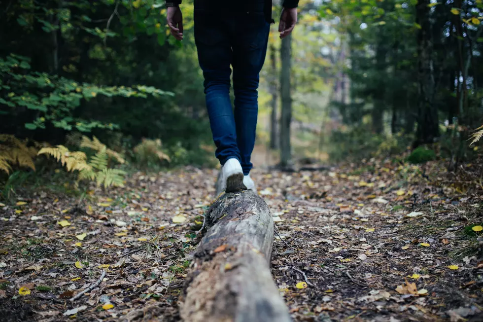 The Very Best Hiking Trail in New Jersey Ranked Among Best In U.S.