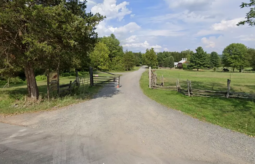 Best Beloved American Attraction In New Jersey Is Completely Free