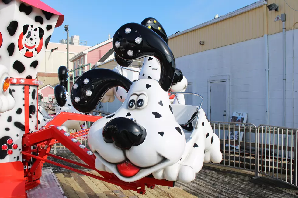 Kids Will Love this Brand New Adorable Ride at Jenkinson’s Boardwalk