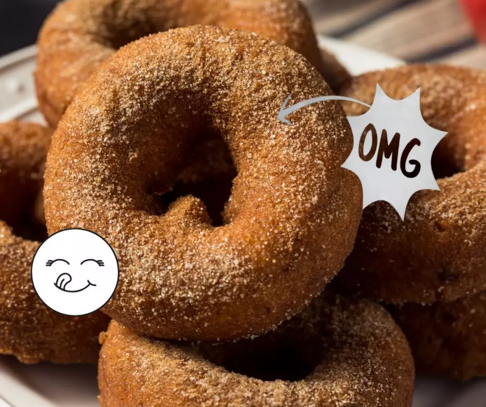The Most Delicious and Best Apple Cider Donuts in New Jersey
