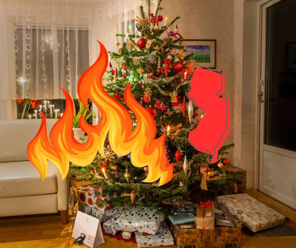Can You Burn Your Christmas Tree in New Jersey?