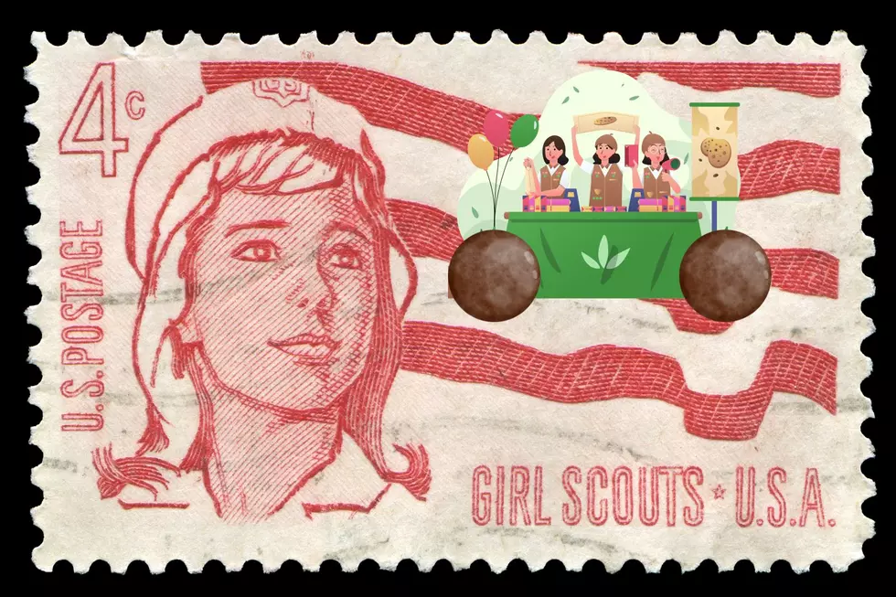 2 Popular Girl Scout Cookie Flavors Are Leaving Soon😔