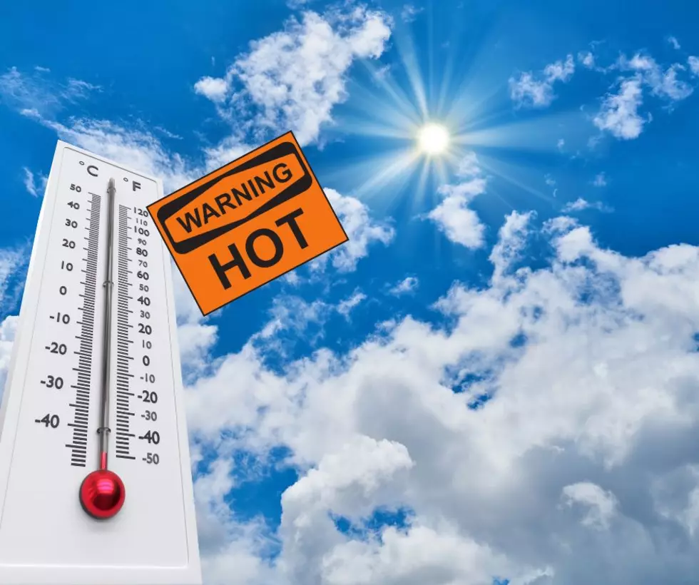 Warning: Never Leave These 5 Things in Your Car This Summer New Jersey