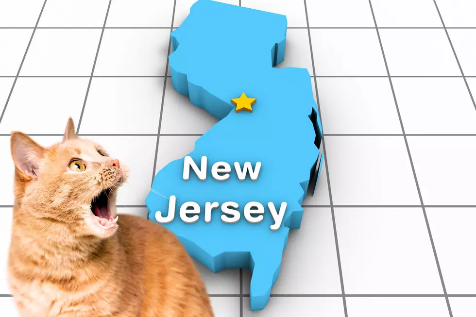 A Central Jersey Has Just Been Officially Declared in New Jersey