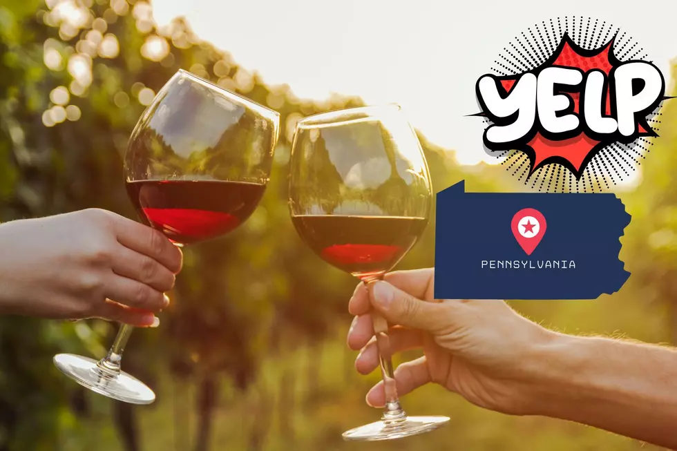 Plan Your Trip To Pennsylvania’s Highest Rated Wineries